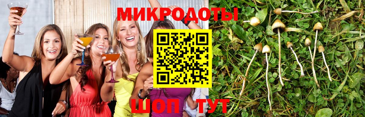 Галлюциногенные грибы Magic Shrooms Саратов