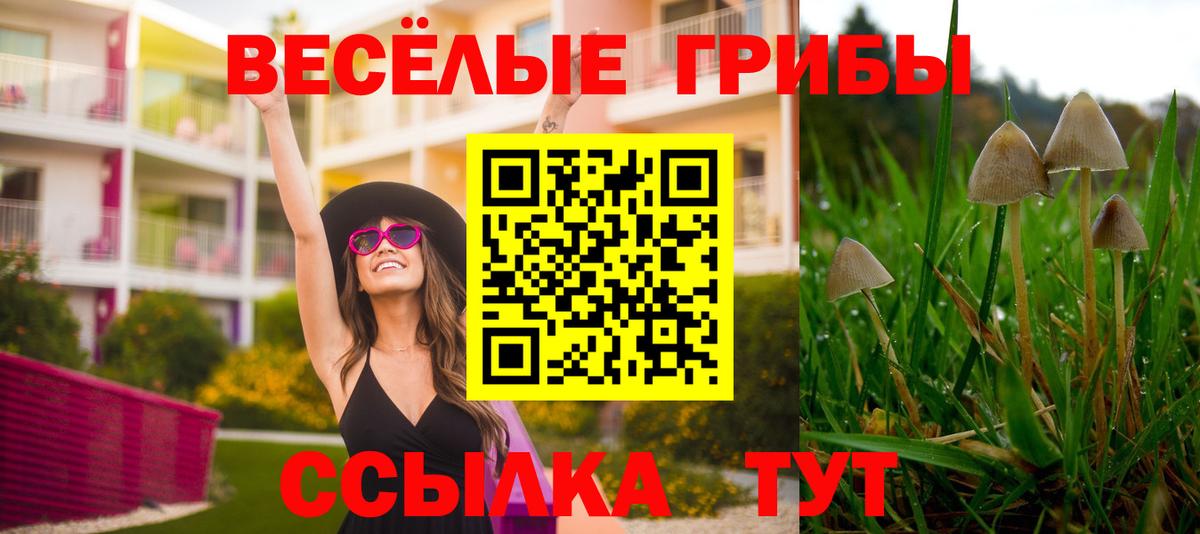 Псилоцибиновые грибы GOLDEN TEACHER  Псилоцибиновые грибы Psilocybine cubensis  Вход с VPN  Саратов 